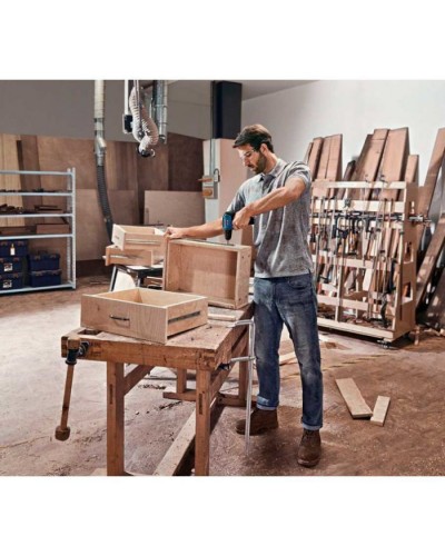 Шуруповерт Bosch Professional GSR 12V-30 2x 2.0Аг, GAL 12V-40, кейс (0.601.9G9.000)