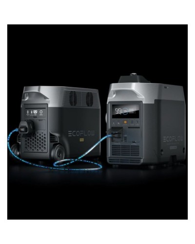 Генератор EcoFlow Smart Gas Dual Fuel (GasEBDUAL-EU)