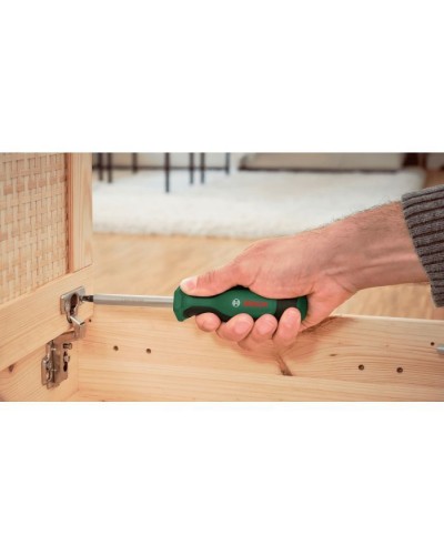 Набір інструментів Bosch з бітами та тріскачками, 1/2", 25 шт. (1.600.A02.Z9G)