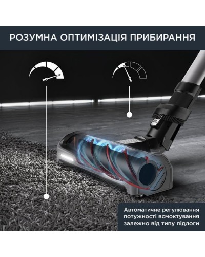 Пилосос Rowenta RH9958WA