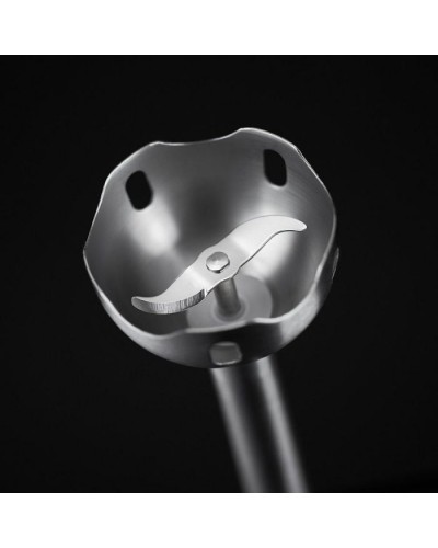 Блендер Russell Hobbs Desire (24690-56)