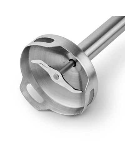 Блендер Ufesa BP4582 Vario 1000 Max (70105030)