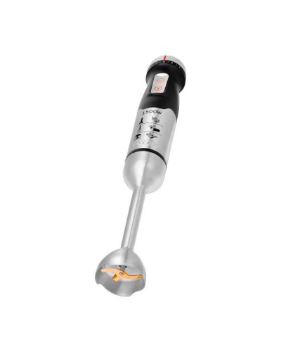 Блендер Rotex RTB1840-B MegaPower