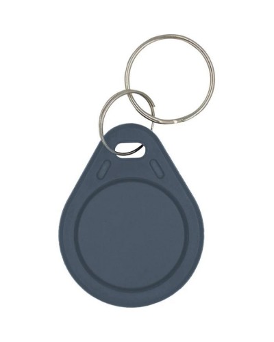 Брелок з чіпом Trinix P-key RW gray