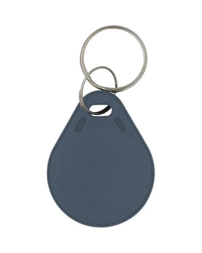 Брелок з чіпом Trinix P-key RW gray