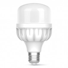 Лампочка TITANUM A80 20W E27 6500К (TL-HA80-20276)
