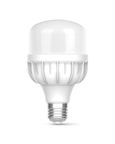 Лампочка TITANUM A80 20W E27 6500К (TL-HA80-20276)