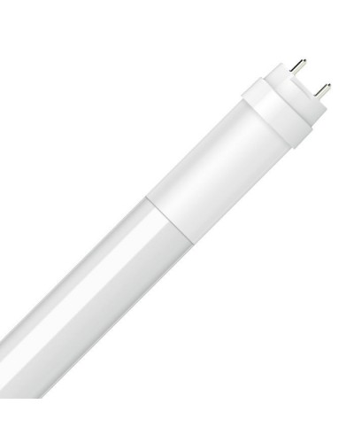 Лампочка ELM T8 10W GP10 G13 6500K (19-0006)