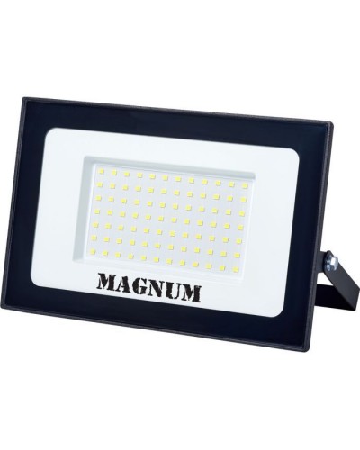 Прожектор MAGNUM FL12 ECO LED 100Вт slim 6500К IP65 (90018087)