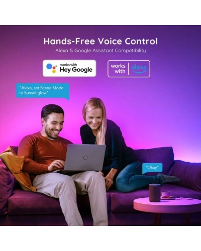Світлодіодна стрічка Govee RGBIC Basic Wi-Fi + Bluetooth LED Strip Light 5м Білий (H618A3D1)